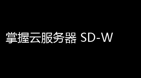 掌握云服务器 SD-WAN ：晋升网络效率
，下滑成本，优化业务,telegeram账号
